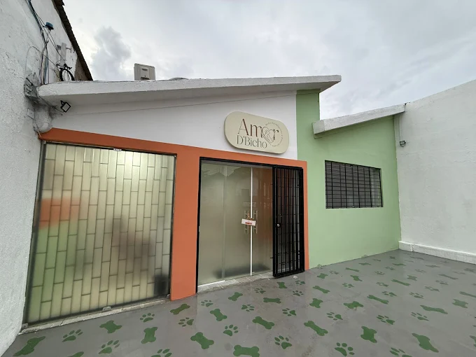 Evolução Agiliza.vet